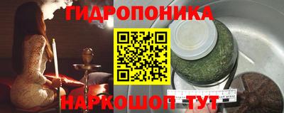 стаф Гусев