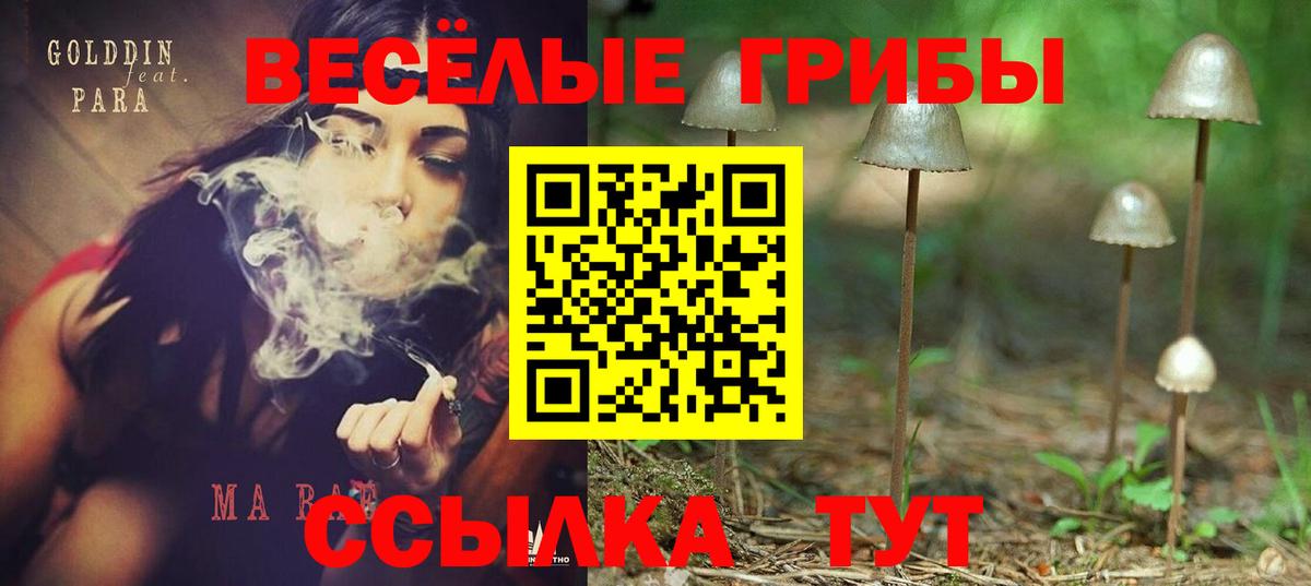 продажа наркотиков  Вход с VPN  Псилоцибиновые грибы GOLDEN TEACHER  Мариинск  Галлюциногенные грибы Cubensis 