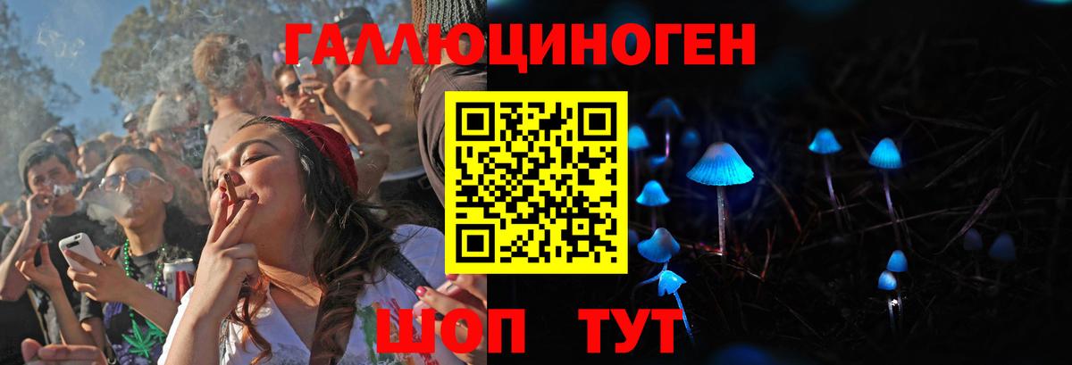 Псилоцибиновые грибы Psilocybe Мариинск